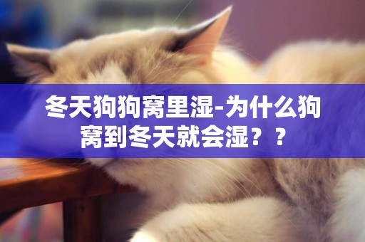 冬天狗狗窩里濕-為什么狗窩到冬天就會濕？？