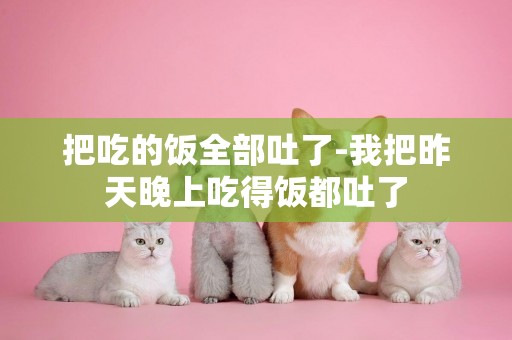 把吃的飯全部吐了-我把昨天晚上吃得飯都吐了