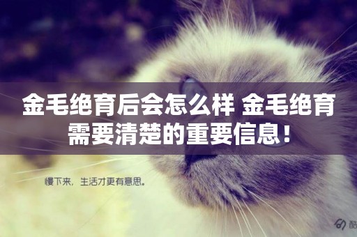 金毛絕育后會怎么樣 金毛絕育需要清楚的重要信息！