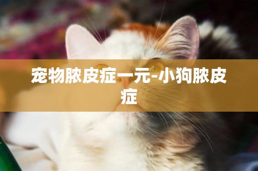 寵物膿皮癥一元-小狗膿皮癥
