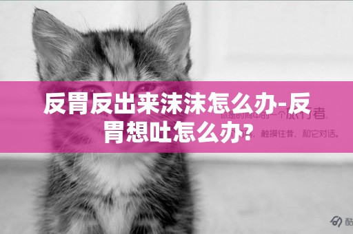 反胃反出來沫沫怎么辦-反胃想吐怎么辦?
