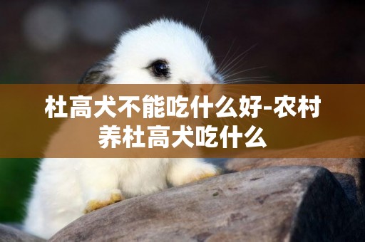 杜高犬不能吃什么好-農村養杜高犬吃什么