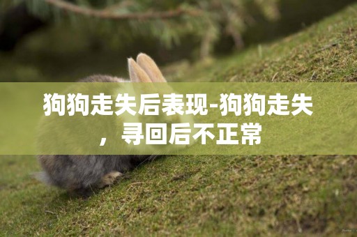 狗狗走失后表現-狗狗走失，尋回后不正常