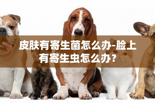 皮膚有寄生菌怎么辦-臉上有寄生蟲怎么辦？