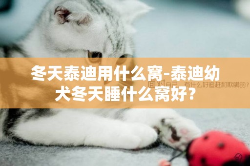 冬天泰迪用什么窩-泰迪幼犬冬天睡什么窩好？