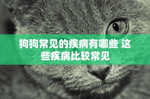 狗狗常見的疾病有哪些 這些疾病比較常見