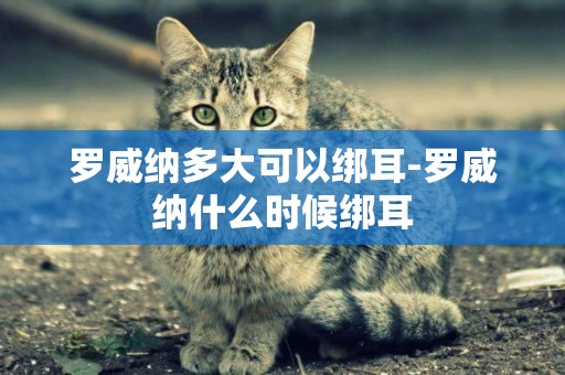 羅威納多大可以綁耳-羅威納什么時候綁耳