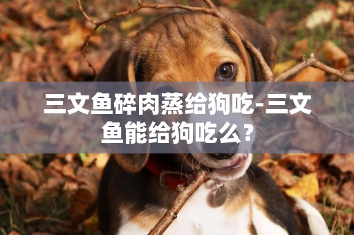 三文魚碎肉蒸給狗吃-三文魚能給狗吃么？