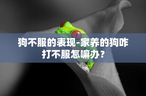 狗不服的表現-家養的狗咋打不服怎嘛辦？