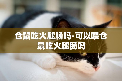 倉鼠吃火腿腸嗎-可以喂倉鼠吃火腿腸嗎