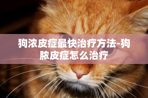狗濃皮癥最快治療方法-狗膿皮癥怎么治療
