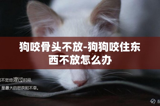狗咬骨頭不放-狗狗咬住東西不放怎么辦