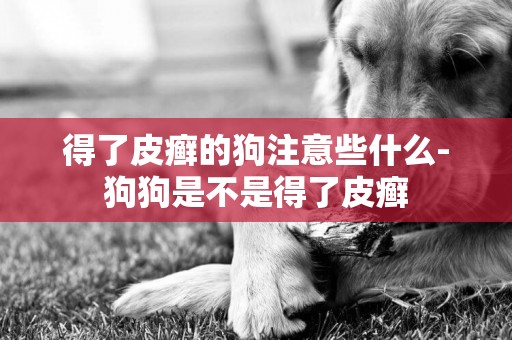 得了皮癬的狗注意些什么-狗狗是不是得了皮癬