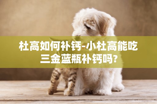 杜高如何補鈣-小杜高能吃三金藍瓶補鈣嗎?