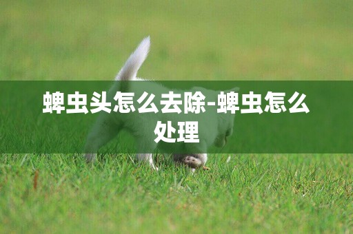 蜱蟲頭怎么去除-蜱蟲怎么處理