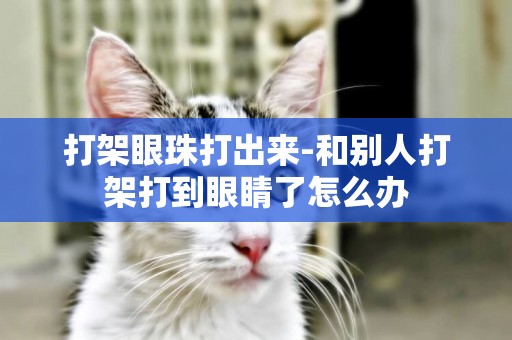 打架眼珠打出來-和別人打架打到眼睛了怎么辦