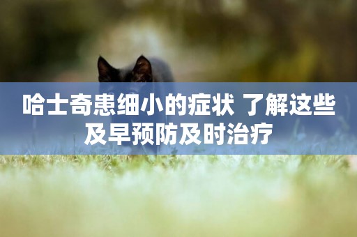 哈士奇患細小的癥狀 了解這些及早預防及時治療