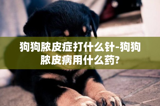 狗狗膿皮癥打什么針-狗狗膿皮病用什么藥?
