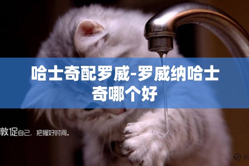哈士奇配羅威-羅威納哈士奇哪個好