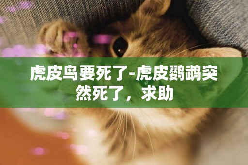 虎皮鳥要死了-虎皮鸚鵡突然死了，求助