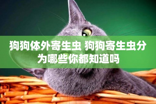 狗狗體外寄生蟲 狗狗寄生蟲分為哪些你都知道嗎