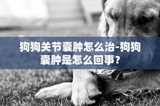 狗狗關節囊腫怎么治-狗狗囊腫是怎么回事？