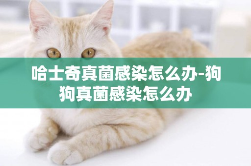 哈士奇真菌感染怎么辦-狗狗真菌感染怎么辦