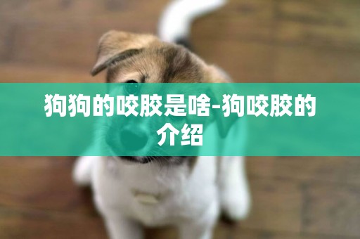 狗狗的咬膠是啥-狗咬膠的介紹