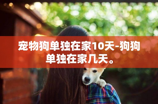 寵物狗單獨在家10天-狗狗單獨在家幾天。