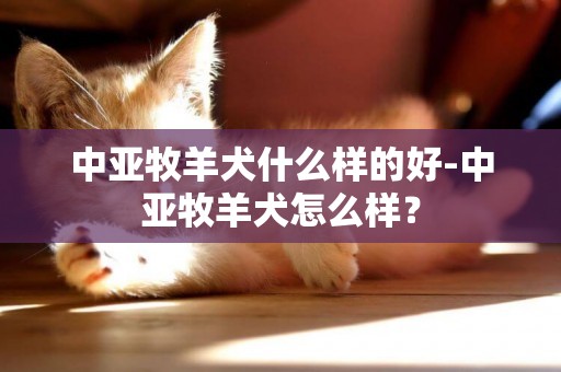 中亞牧羊犬什么樣的好-中亞牧羊犬怎么樣？