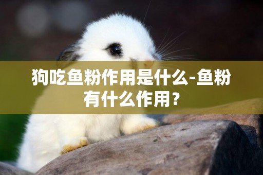 狗吃魚粉作用是什么-魚粉有什么作用？