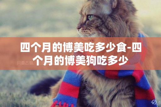 四個月的博美吃多少食-四個月的博美狗吃多少