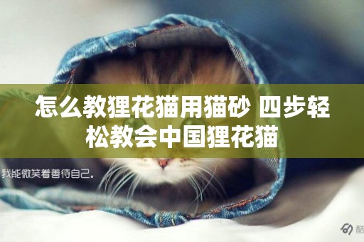 怎么教貍花貓用貓砂 四步輕松教會中國貍花貓