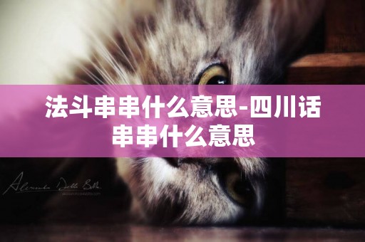 法斗串串什么意思-四川話串串什么意思