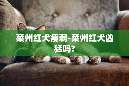 萊州紅犬瘦弱-萊州紅犬兇猛嗎?