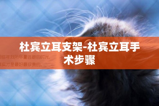 杜賓立耳支架-杜賓立耳手術步驟