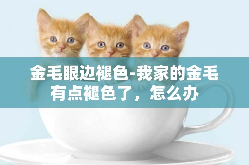 金毛眼邊褪色-我家的金毛有點褪色了，怎么辦