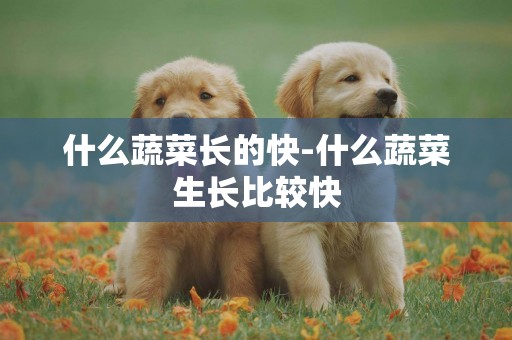 什么蔬菜長的快-什么蔬菜生長比較快