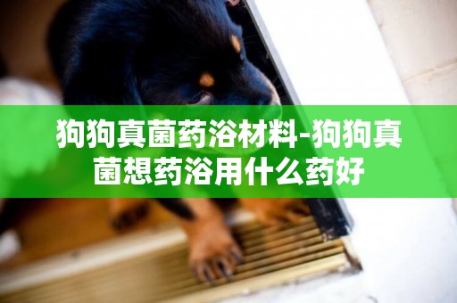 狗狗真菌藥浴材料-狗狗真菌想藥浴用什么藥好