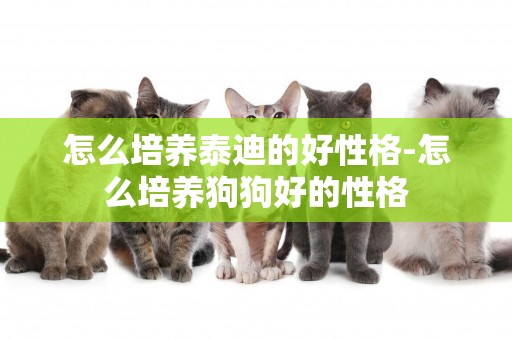 怎么培養泰迪的好性格-怎么培養狗狗好的性格