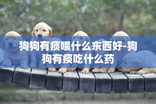 狗狗有痰喂什么東西好-狗狗有痰吃什么藥