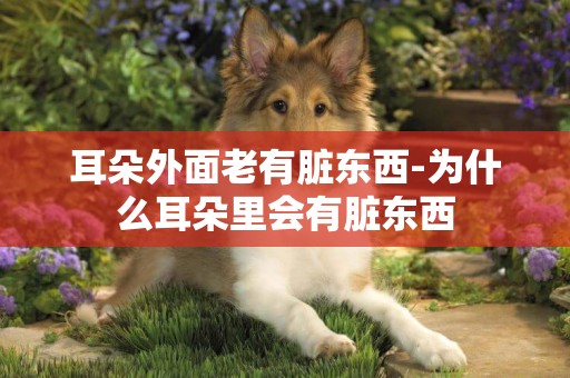 耳朵外面老有臟東西-為什么耳朵里會有臟東西