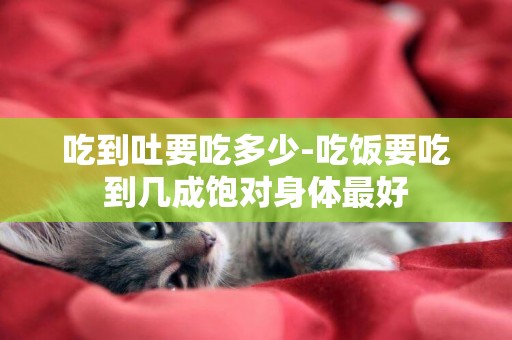 吃到吐要吃多少-吃飯要吃到幾成飽對身體最好