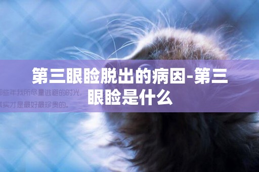 第三眼瞼脫出的病因-第三眼瞼是什么