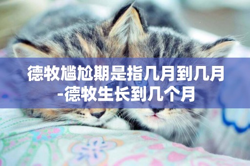 德牧尷尬期是指幾月到幾月-德牧生長到幾個月