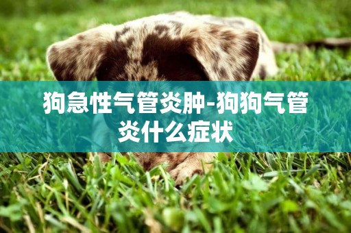 狗急性氣管炎腫-狗狗氣管炎什么癥狀