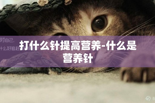 打什么針提高營養-什么是營養針