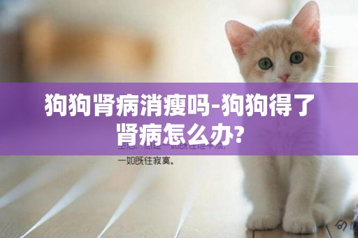 狗狗腎病消瘦嗎-狗狗得了腎病怎么辦?