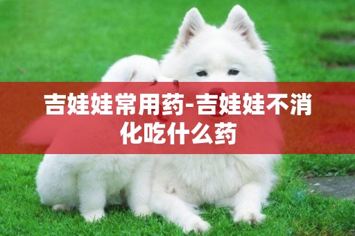 吉娃娃常用藥-吉娃娃不消化吃什么藥