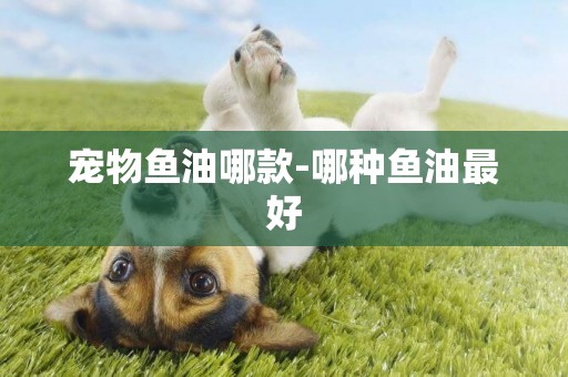 寵物魚油哪款-哪種魚油最好